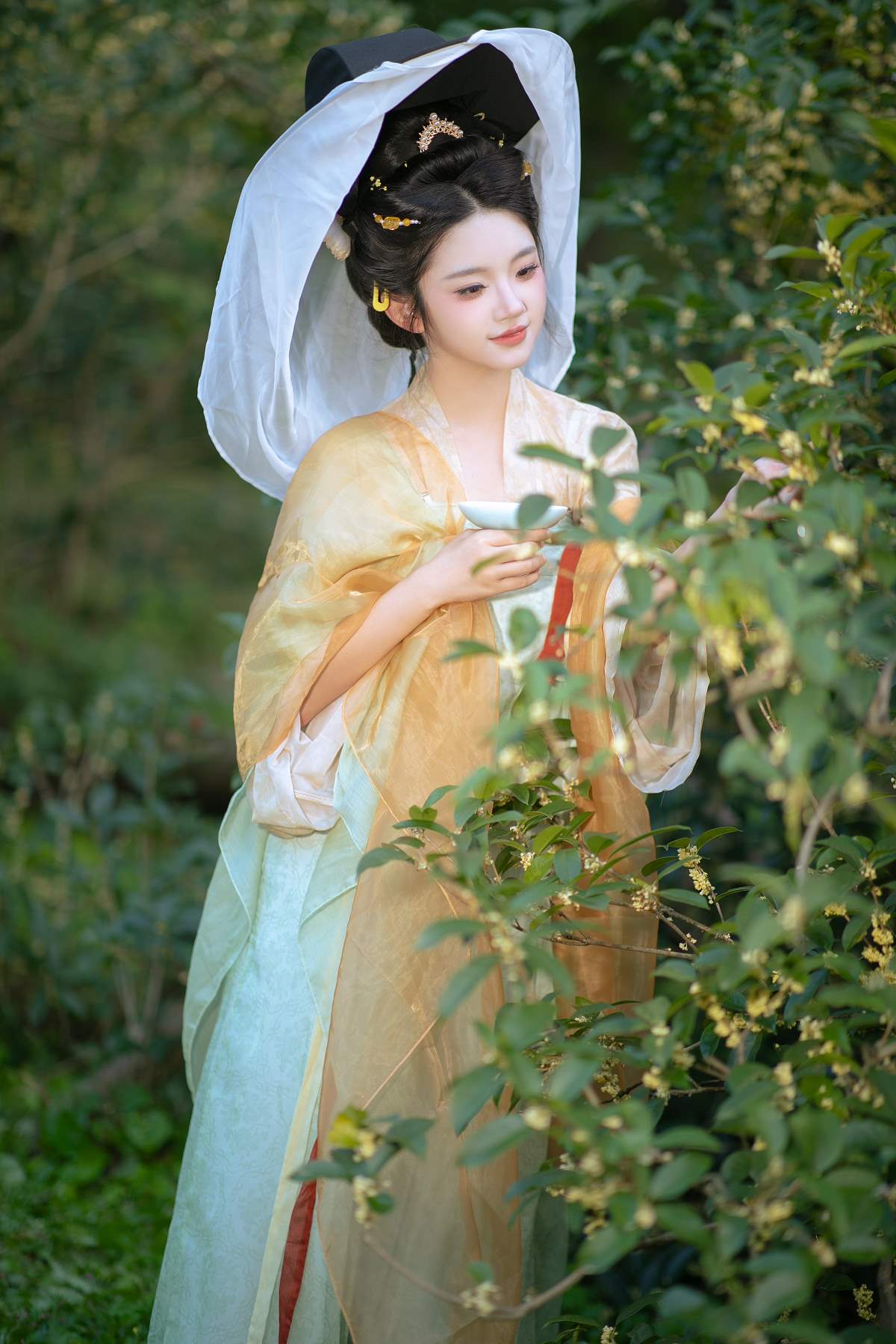 [YITUYU艺图语]2025.11.22 几度秋意浓，最是桂花香。 熊猫牙 YITUYU艺图语-第1张